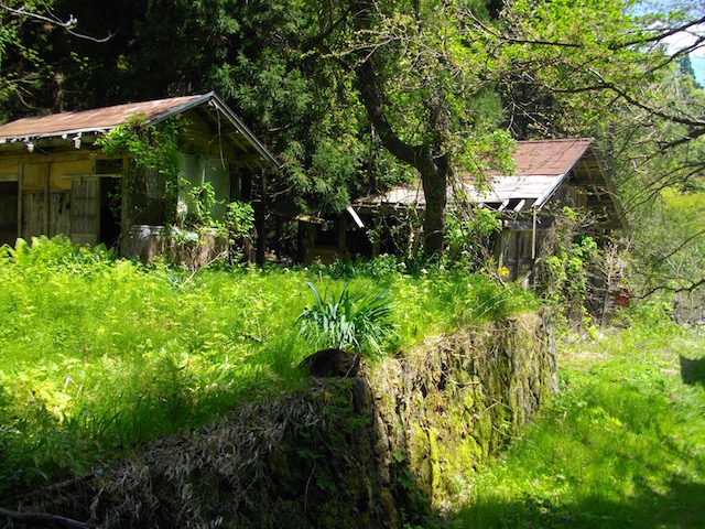 内山の廃屋