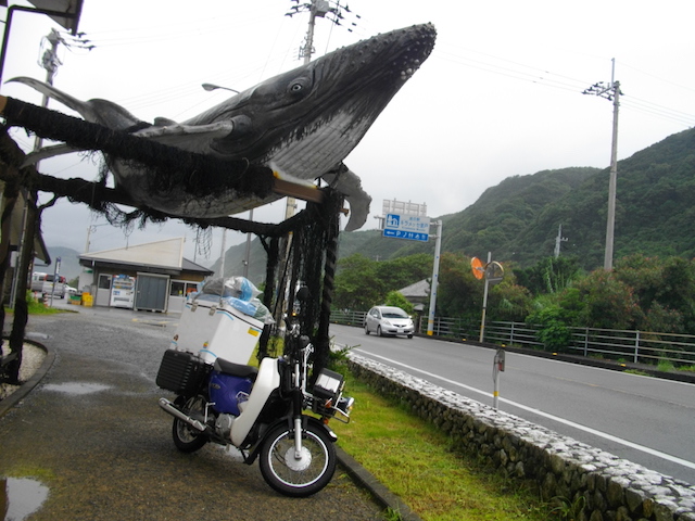 室戸くじら館