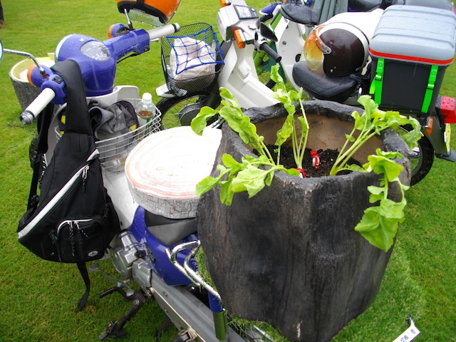 %e3%82%ab%e3%83%96%e5%8f%b7