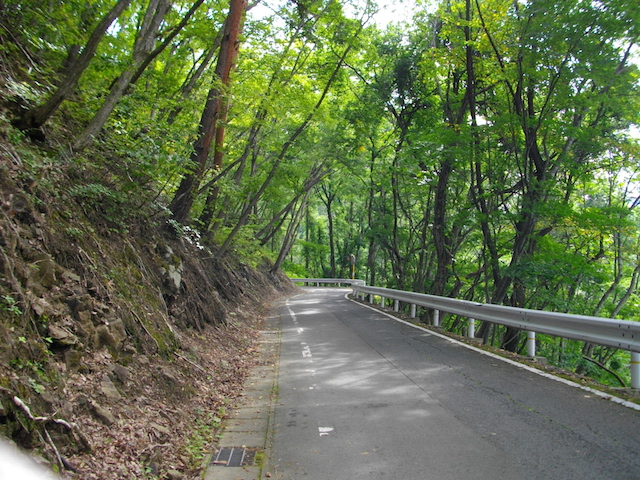 %e9%87%91%e5%b1%b1%e7%b7%91%e3%81%ae%e3%83%88%e3%83%b3%e3%83%8d%e3%83%ab